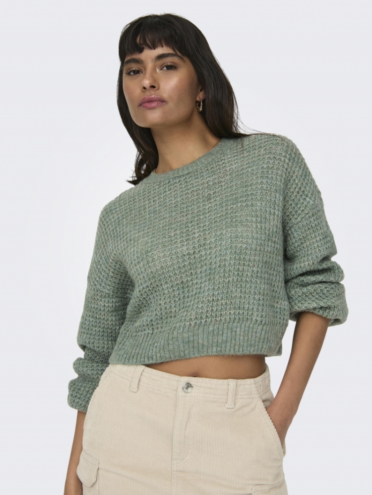 ONLMIKANI LS CROP STRUCTURE ON 271516001 Lily