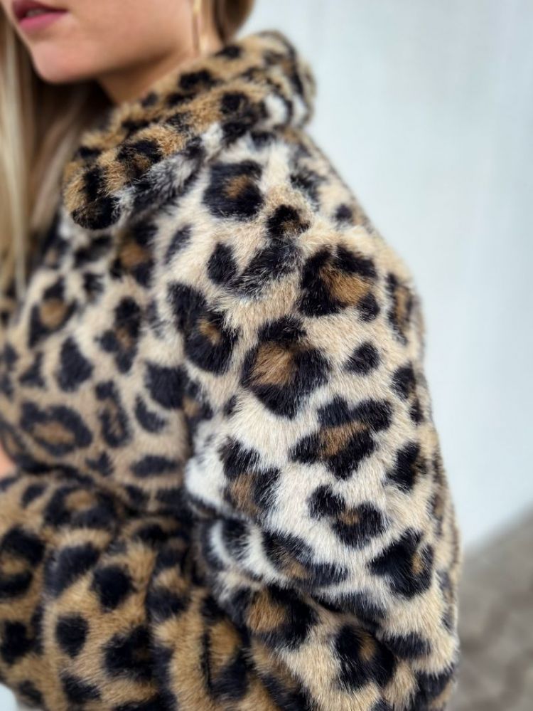  9061-leopard