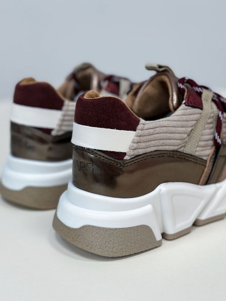  BORDEAUX/BEIGE