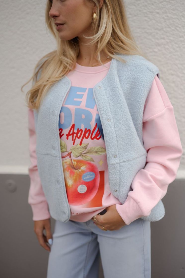 JXVERA TEDDY VEST OTW SN 175919 Skyway