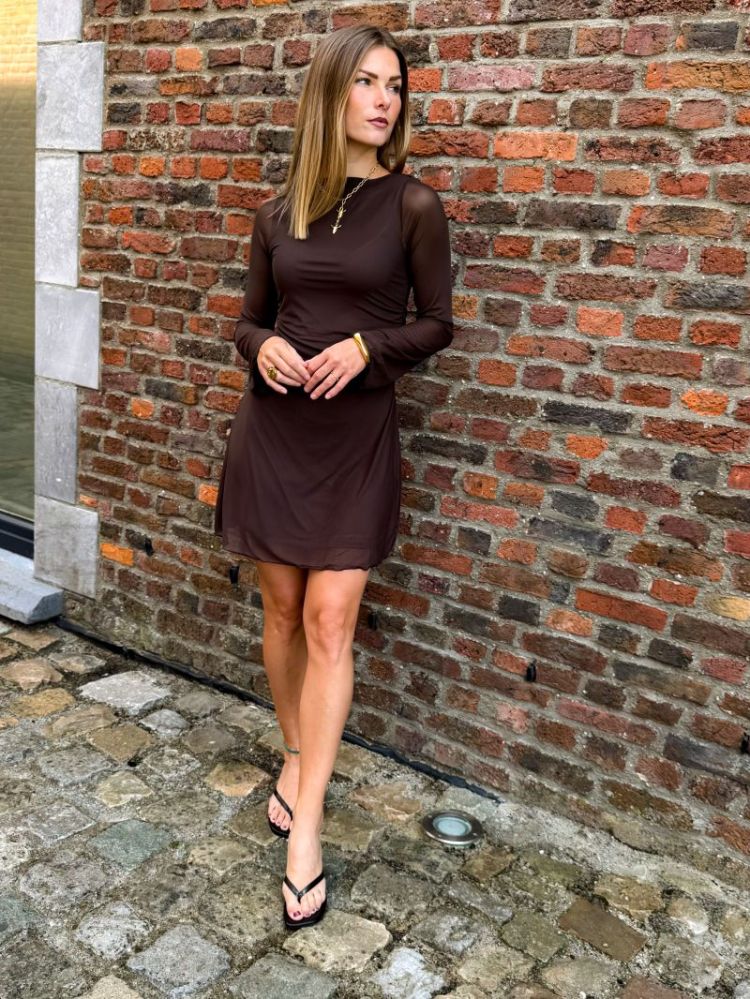 JXMINNA MESH LS DRESS WVN 176191 Demitass