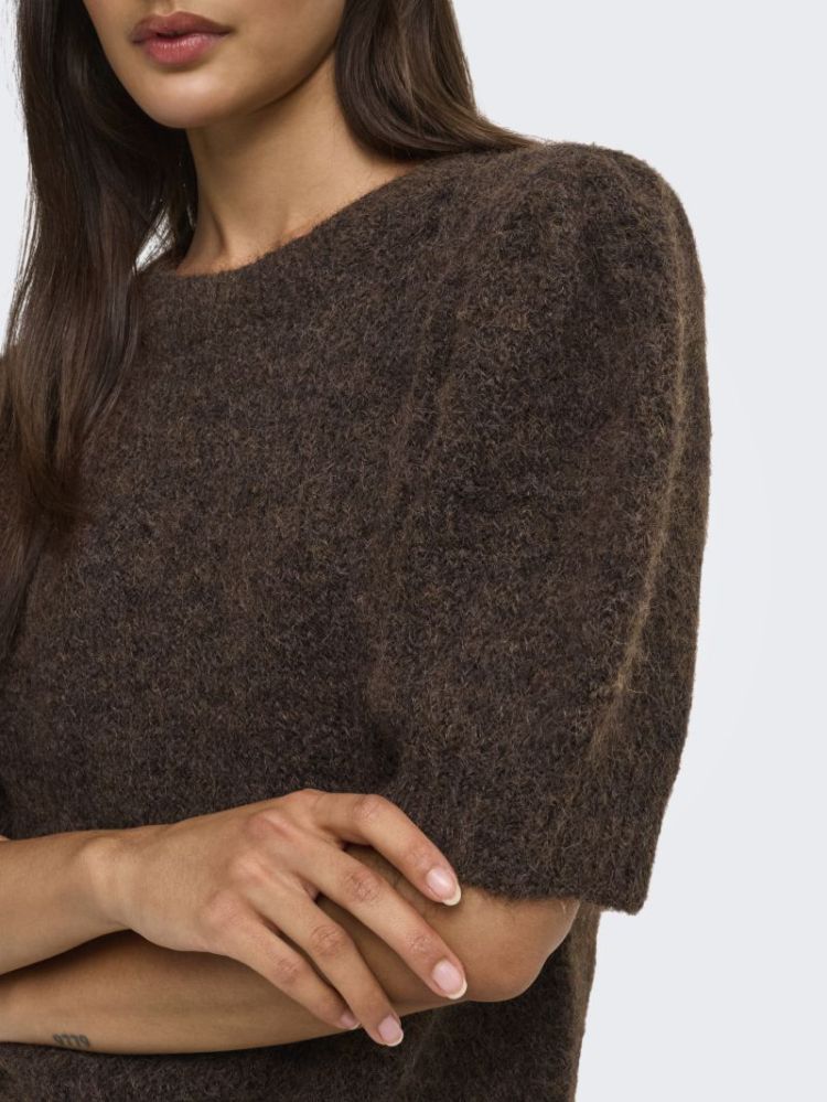 ONLNELLIE SS O-NECK KNT NCA 237375001 Coffe