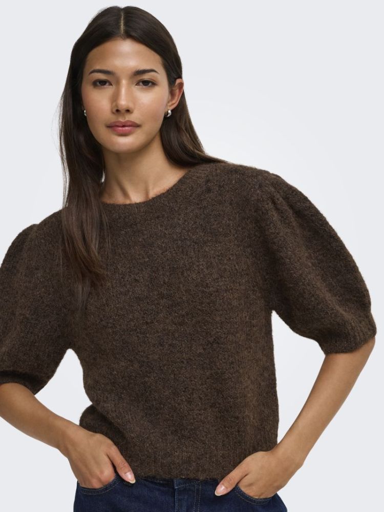 ONLNELLIE SS O-NECK KNT NCA 237375001 Coffe