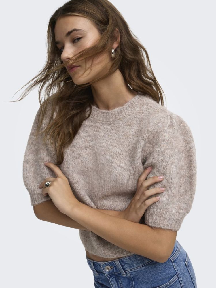 ONLNELLIE SS O-NECK KNT NCA 278275001 Mocha