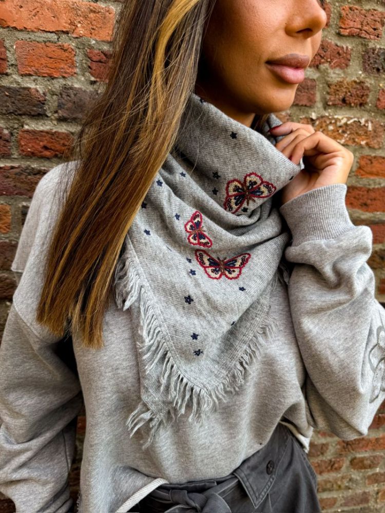  papillons gris